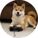 [sticker](media:AAQCABNOzYUqAAS0J_Uu8Dt-oG0LAAIC@telegram)