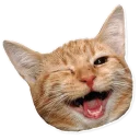 [sticker](media:AAQCABNQKYQqAASTnUqN_G1ejEJAAAIC@telegram)