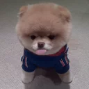 [sticker](media:AAQCABNS64ENAAS8XYay_er-J3xhAQABAg@telegram)