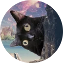 [sticker](media:AAQCABNUjoQqAARLgFIol8U6AfVAAAIC@telegram)