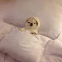 [sticker](media:AAQCABNVFoINAARLE6_WkoeYeIJxAAIC@telegram)