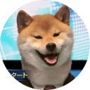 [sticker](media:AAQCABNX44IqAASxKClp0FgLEXU4AAIC@telegram)