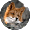 [sticker](media:AAQCABNaKUsNAATFyNoEMNMW194oAQABAg@telegram)