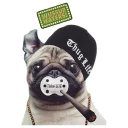 [sticker](media:AAQCABNi_YENAARBjh15P5JuXagZAAIC@telegram)