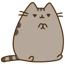 [sticker](media:AAQCABNisYQqAASaiWQFAuNWFjgHAAIC@telegram)