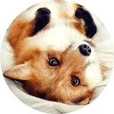 [sticker](media:AAQCABNkJksNAASVEwJTMiIzCFooAQABAg@telegram)