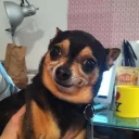 [sticker](media:AAQCABNqVnENAAS1mtnTO-mkLJQqAAIC@telegram)