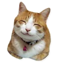 [sticker](media:AAQCABNsH4QqAAS2Vi436SZKsX8_AAIC@telegram)