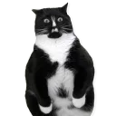 [sticker](media:AAQCABNvNoQqAASb0jQJSJqP7CtEAAIC@telegram)