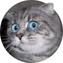 [sticker](media:AAQCABNwpIQqAATBguDqNHKkD5M-AAIC@telegram)