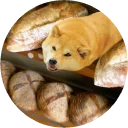 [sticker](media:AAQCABO0uoIqAAQqueOKRSOTGQNRAAIC@telegram)