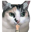 [sticker](media:AAQCABO6V3ENAATmkWdVnUc63uQsAAIC@telegram)