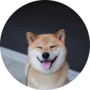 [sticker](media:AAQCABO834UqAAQUdpk9AAGdrozGDAACAg@telegram)