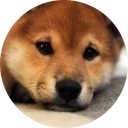 [sticker](media:AAQCABOL5IUqAAVsqPjxVyCnaQ8AAgI@telegram)