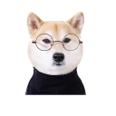 [sticker](media:AAQCABOSnIQqAAQyU8rNZbQQdRIuAAIC@telegram)