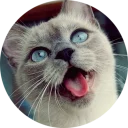 [sticker](media:AAQCABO_cIQqAAQ4FDlpEipgikkdAAIC@telegram)