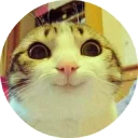 [sticker](media:AAQCABOiBoINAARRGXabxFnPAAFGawACAg@telegram)