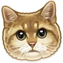 [sticker](media:AAQCABOjM4QqAARvxLAR_pHPgo0pAAIC@telegram)