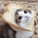 [sticker](media:AAQCABOjrw8OAATcVrIoi9s3ofYOAAIC@telegram)