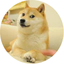 [sticker](media:AAQCABOt9YUqAASmLQgzreuc4P8PAAIC@telegram)