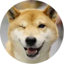 [sticker](media:AAQCABOv4oIqAAS28ETAgYNi7xo4AAIC@telegram)