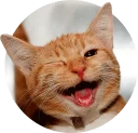 [sticker](media:AAQCABP5OoQqAAS-jluZSSIMYoJDAAIC@telegram)