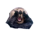 [sticker](media:AAQCABP900cNAATtvzTNfe_MDSh2AQABAg@telegram)