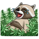 [sticker](media:AAQCABPD9A8OAAS1fHhqMWvZ5JWXAAIC@telegram)
