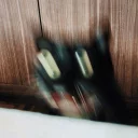 [sticker](media:AAQCABPJyOMNAARG09ChH6-clZAOAAIC@telegram)