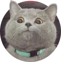 [sticker](media:AAQCABPNmeMNAATgYwtnw0bzRapYAAIC@telegram)