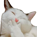 [sticker](media:AAQCABPc3IUqAARQ46l9bKKS-iErAAIC@telegram)