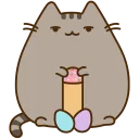 [sticker](media:AAQCABPcIEsNAAQ3Z6Q38HBa6RFuAQABAg@telegram)
