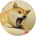 [sticker](media:AAQCABPg_4UqAARJkx0Lfq4Z3xUMAAIC@telegram)