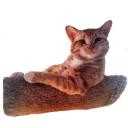 [sticker](media:AAQCABPlc4QqAAQoMStZmMgfbkweAAIC@telegram)