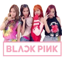 [sticker](media:AAQCABPxAAGtDgAEERTLee_KrjkHVgACAg@telegram)