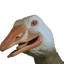 [sticker](media:AAQEABMIBaIwAAQNv_HBdQmFN2sSAAIC@telegram)