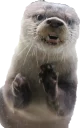 [sticker](media:AAQEABMc1Y8wAAQrnUuzVBfXsWwGAAIC@telegram)