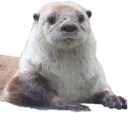 [sticker](media:AAQEABMp0IwwAATjAAEQvtOBRtleCQACAg@telegram)