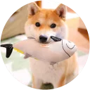 [sticker](media:AAQEABMpKiYZAAQnJt259hLA1CYgAAIC@telegram)