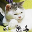 [sticker](media:AAQEABNP7LwZAATTMuutFN13AbhaAAIC@telegram)