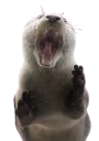 [sticker](media:AAQEABNcbo8wAAQD2kABOCsBXJQvAAIC@telegram)