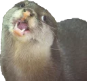 [sticker](media:AAQEABNefI8wAAS9DjbBbKNFUbACAAIC@telegram)