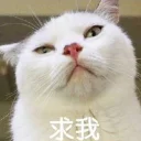 [sticker](media:AAQEABNl06oZAARAIvRiApLzO2ZYAAIC@telegram)