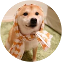 [sticker](media:AAQEABNrBiYZAARuZNHPjApmZ7wiAAIC@telegram)