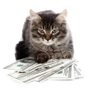 [sticker](media:AAQEABO1E2swAAS8oRBa1dPAVwLzAQABAg@telegram)