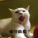 [sticker](media:AAQEABO1MuAZAAQYmp-j5KZeamEGAAIC@telegram)