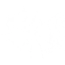 [sticker](media:AAQEABOEiaYwAAR3FcF7LbnotWQQAAIC@telegram)