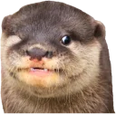 [sticker](media:AAQEABPKuCUZAARWHwO8kZGKPRQnAAIC@telegram)