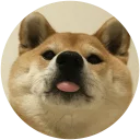 [sticker](media:AAQEABPQz6EwAAQuoWWc3-R4lfMVAAIC@telegram)