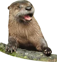 [sticker](media:AAQEABPTQEQZAASwYkPS6Ij-YxoiAAIC@telegram)